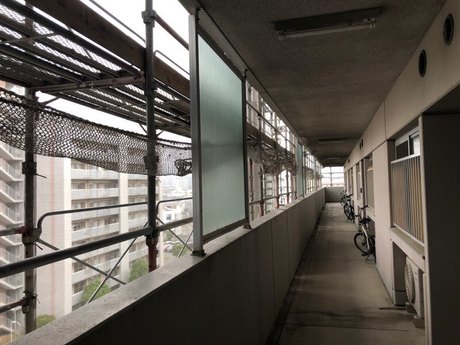 003.JPG