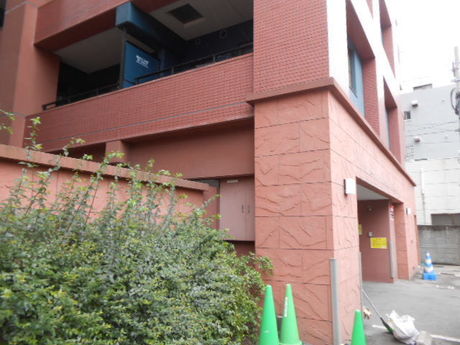 DSCN6290.JPG