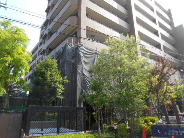 DSCN6300.JPG