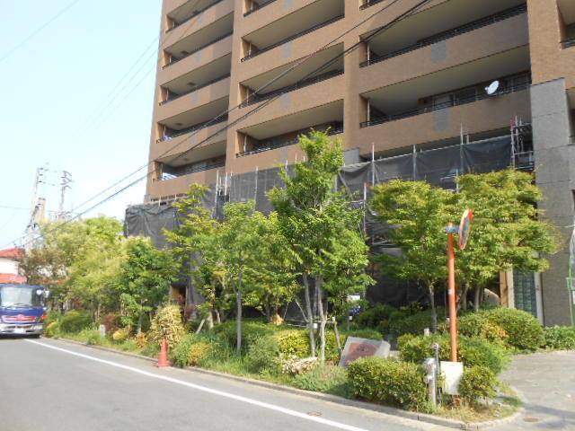DSCN6301.JPG