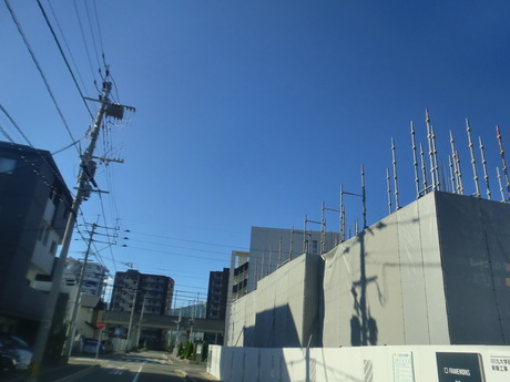 002.JPG