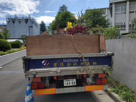 20190807_091220.jpg