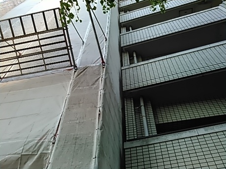 KIMG0007.jpg