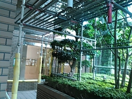 KIMG0017.jpg