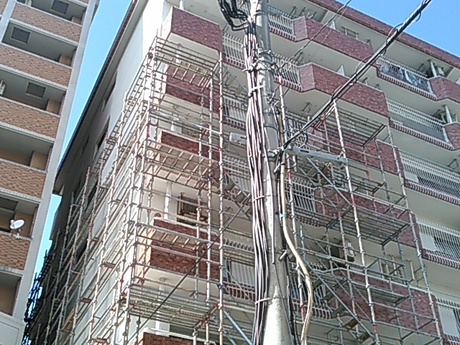 KIMG0040.jpg